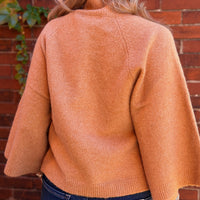 Zinnia Turtleneck Sweater