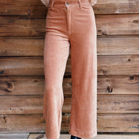 Prospect Knit Cord Pant