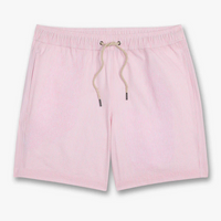 The Bayberry Trunk