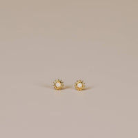 Sun Stud - White Opal - Gold Earrings