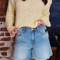 Jane High Rise Long Short: Whiz