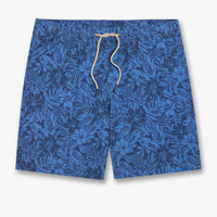 The Bayberry Trunk