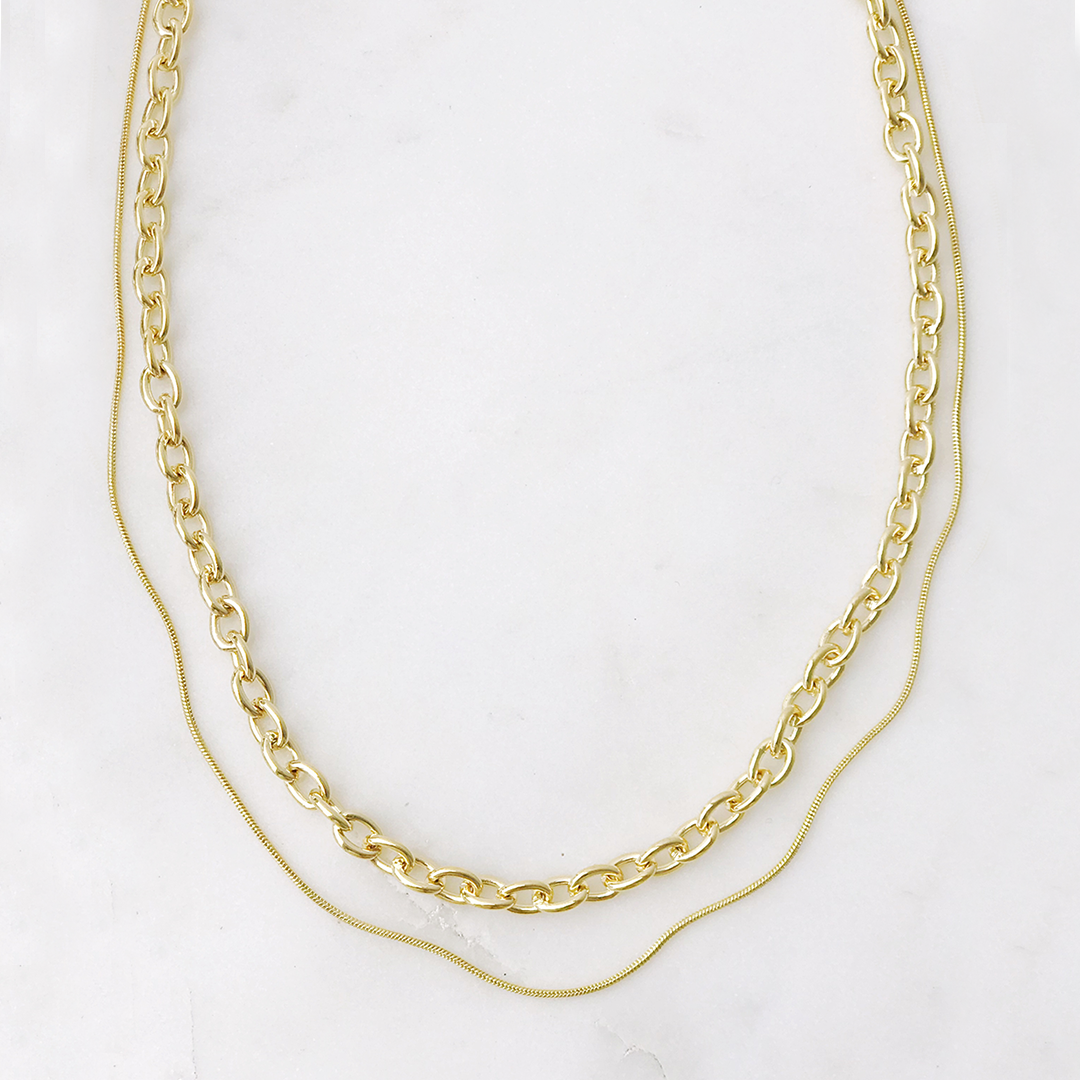 Snake & Chain Necklace
